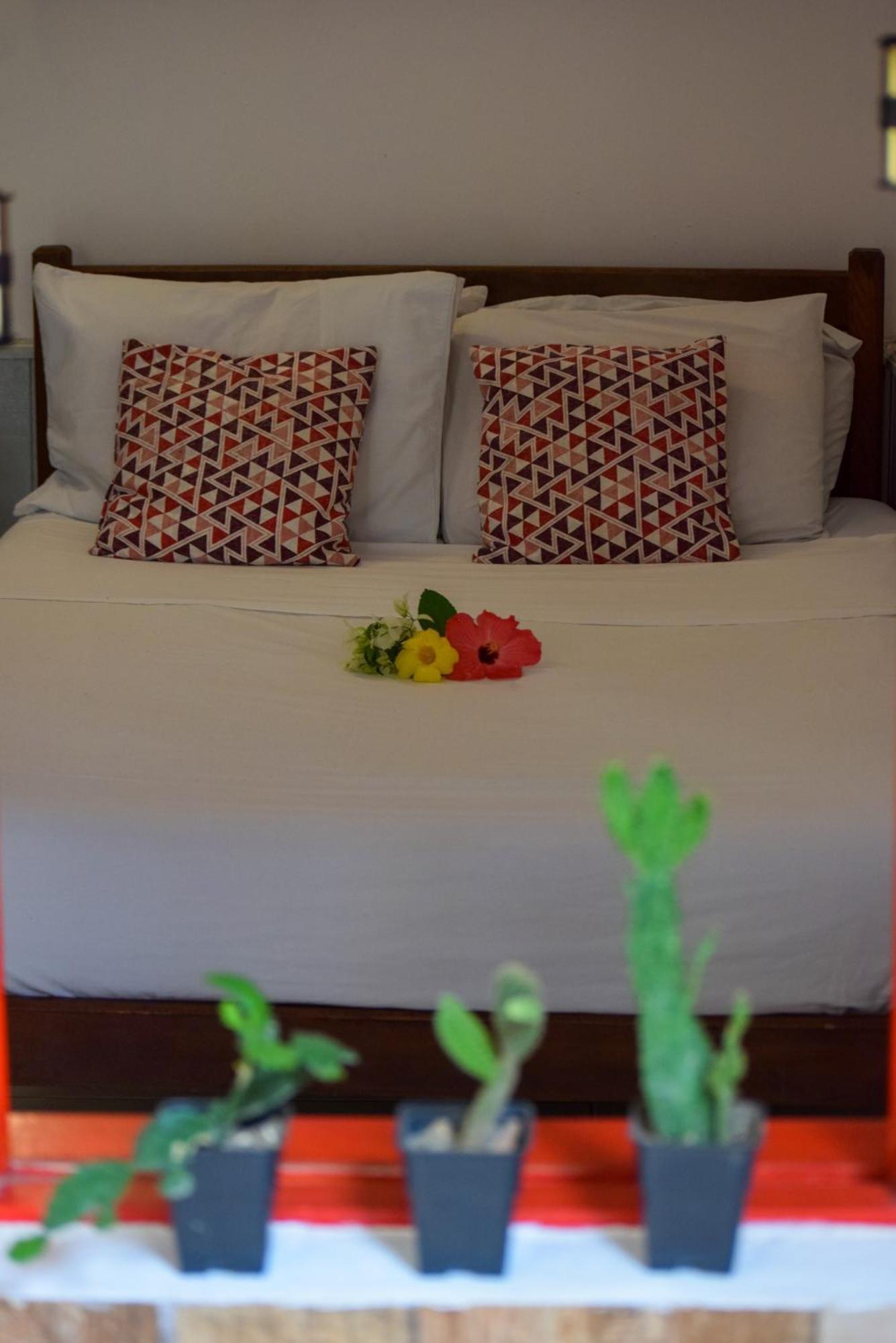 Leo'S Clan Beach Hostel Paraty Luaran gambar
