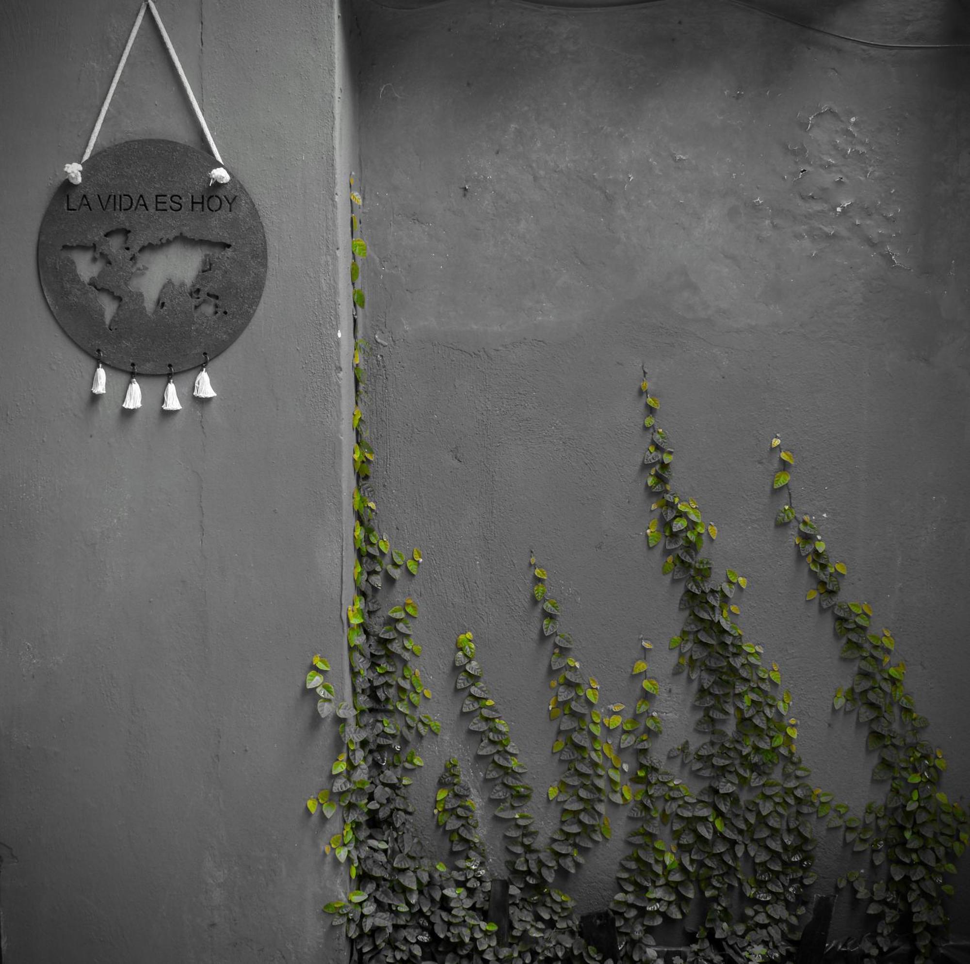 Leo'S Clan Beach Hostel Paraty Luaran gambar